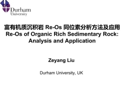 刘泽阳  富有机质沉积岩Re-Os同位素分析方法及应用
